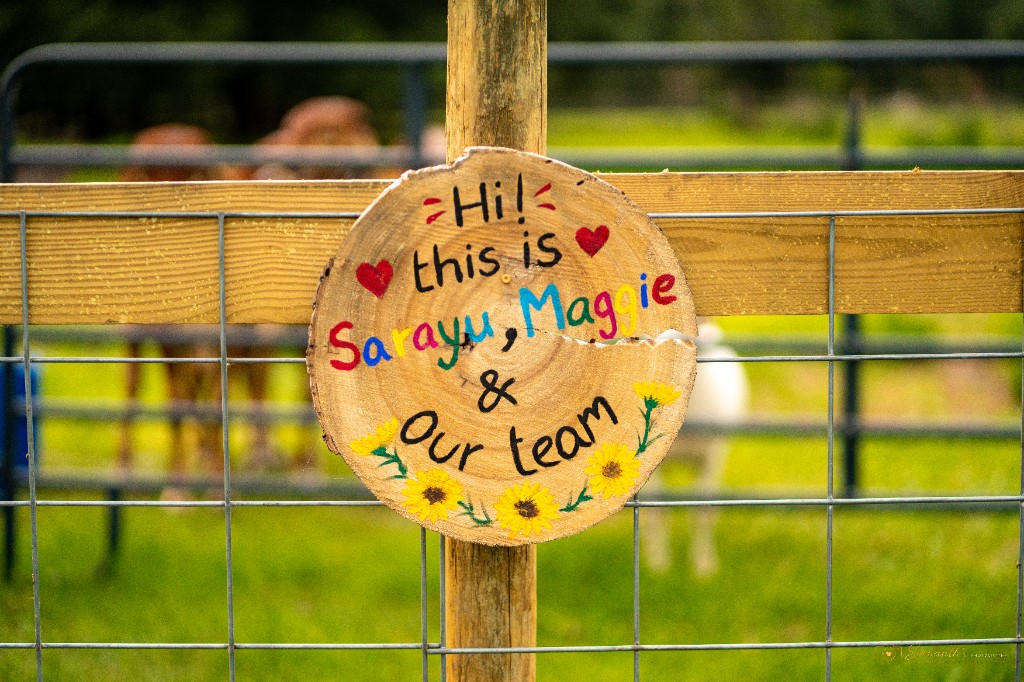 Hand-painted welcome sign for Sarayu, Maggie, and the alpaca team