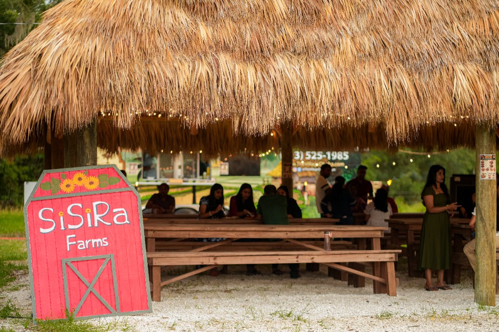 SiSiRa Farms red sign and thatched pavilion with visitors gathered