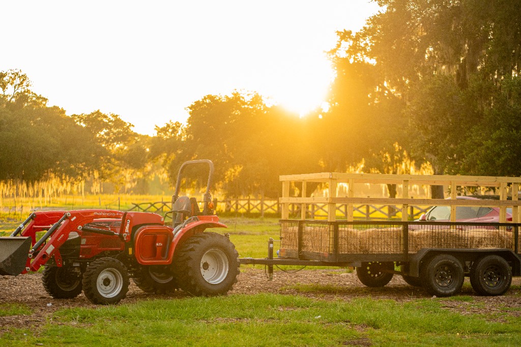 Red tractor pulling a hay trailer at golden hour